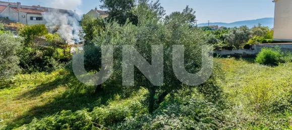 Terreno en Dominguizo, Portugal No. 76971 3