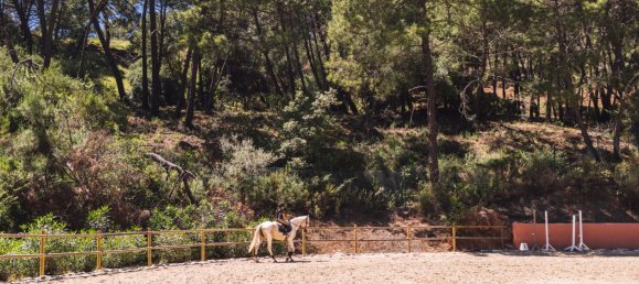 Земельный участок в Малага, Испания № 146995 10