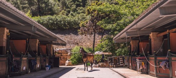 Земельный участок в Малага, Испания № 146995 7