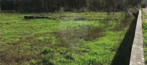 Земельный участок 3640м² в Майорка, Португалия № 90642 9