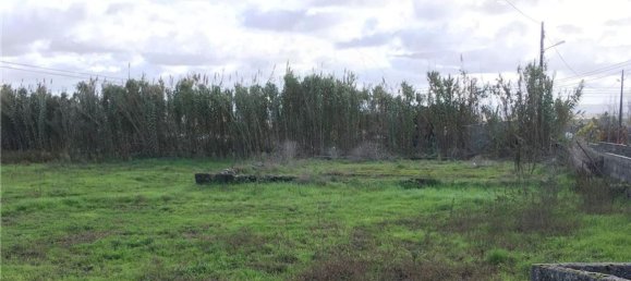 Земельный участок 3640м² в Майорка, Португалия № 90642 7