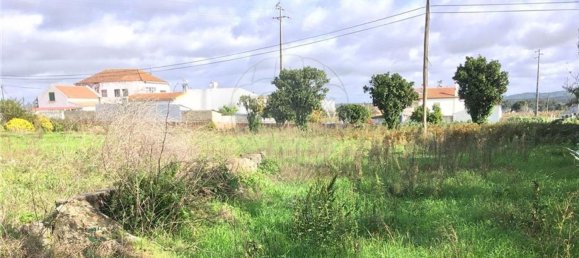 Земельный участок 3640м² в Майорка, Португалия № 90642 11