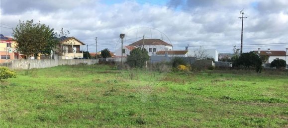 Земельный участок 3640м² в Майорка, Португалия № 90642 2