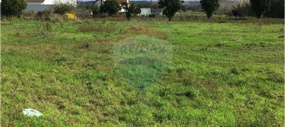 Земельный участок 3640м² в Майорка, Португалия № 90642 10