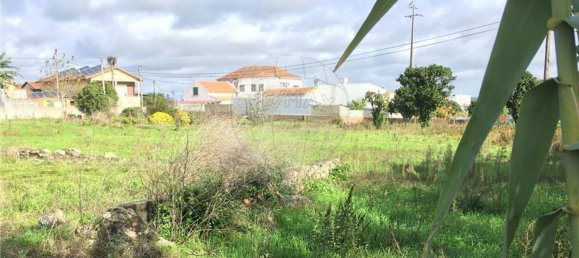 Земельный участок 3640м² в Майорка, Португалия № 90642 3