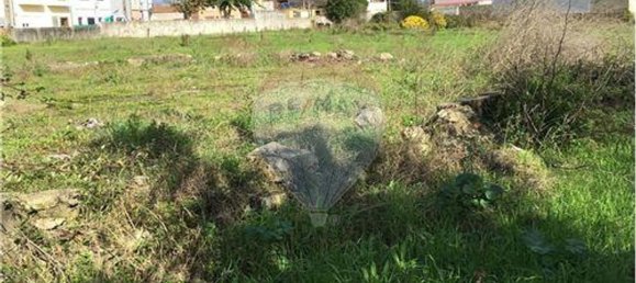 Земельный участок 3640м² в Майорка, Португалия № 90642 6