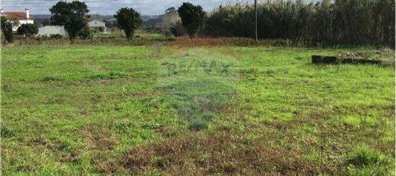 Земельный участок 3640м² в Майорка, Португалия № 90642 8