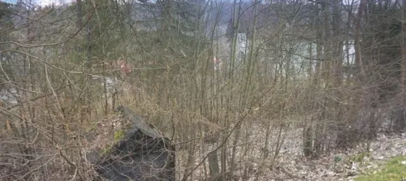 Terreno em Vogtlandkreis, Germany N.º 22197 6