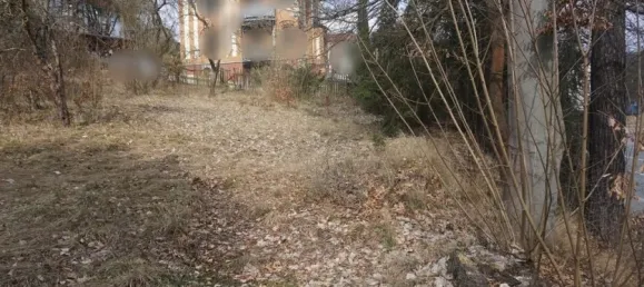 Terreno em Vogtlandkreis, Germany N.º 22197 5