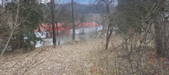 Terreno em Vogtlandkreis, Germany N.º 22197 2