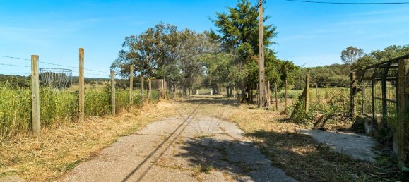 Casa de 9 dormitorios en Evora, Portugal No. 64512 23