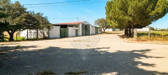 Casa de 9 dormitorios en Evora, Portugal No. 64512 14