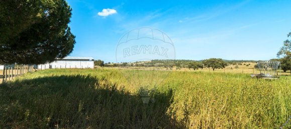 Casa de 9 dormitorios en Evora, Portugal No. 64512 21