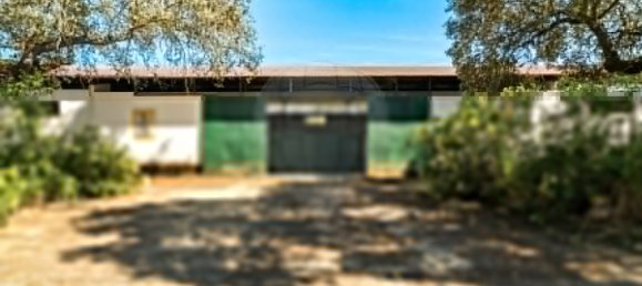 Casa de 9 dormitorios en Evora, Portugal No. 64512 11