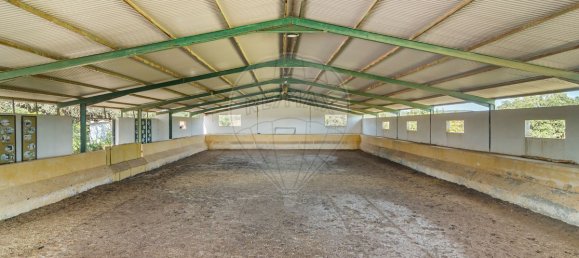 Casa de 9 dormitorios en Evora, Portugal No. 64512 50