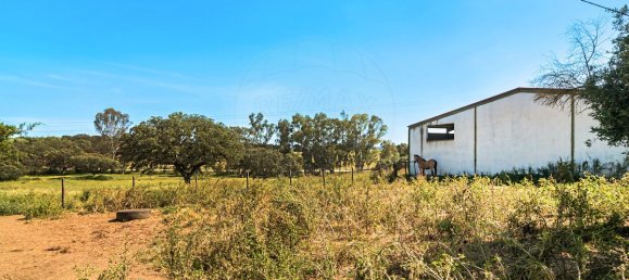 Casa de 9 dormitorios en Evora, Portugal No. 64512 20