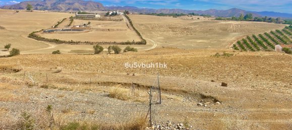  Land in Cartama, Spain No. 149170 3