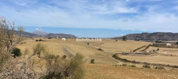  Land in Cartama, Spain No. 149170 8