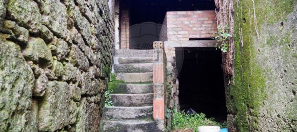 3 bedrooms House in Tondela, Portugal No. 161228 10