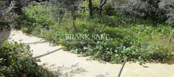 3 bedrooms House in Kercem, Malta No. 5537 28