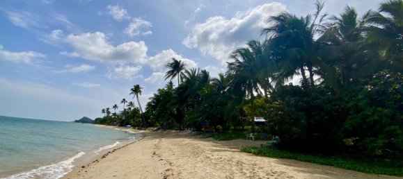 3 bedrooms Cafe / restaurant in Ko Samui, Thailand No. 24909 4