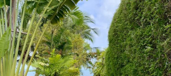 3 bedrooms Cafe / restaurant in Ko Samui, Thailand No. 24909 3