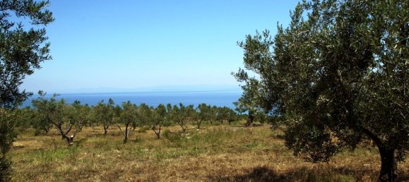 5200m² Hotel in Chalkidiki, Greece No. 7532 3