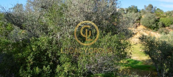 10450m² Land in Silves, Portugal No. 68399 17