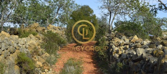 10450m² Land in Silves, Portugal No. 68399 34