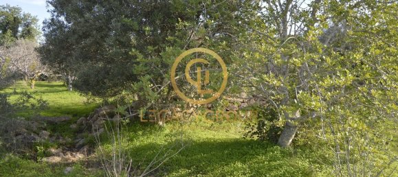 10450m² Land in Silves, Portugal No. 68399 29