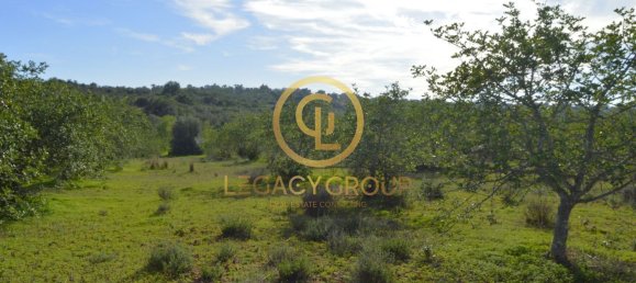 10450m² Land in Silves, Portugal No. 68399 23