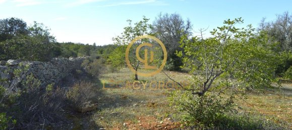 10450m² Land in Silves, Portugal No. 68399 41
