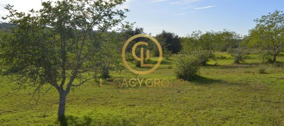 10450m² Land in Silves, Portugal No. 68399 26