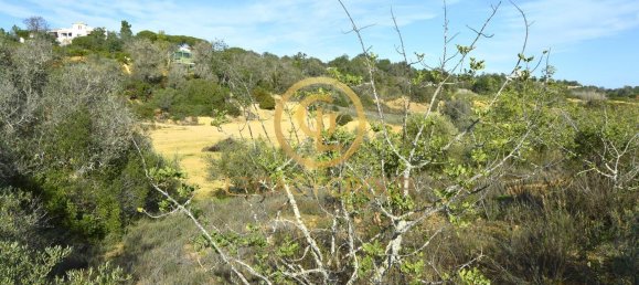 10450m² Land in Silves, Portugal No. 68399 15