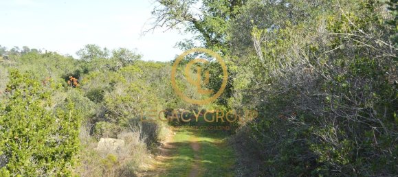 10450m² Land in Silves, Portugal No. 68399 36