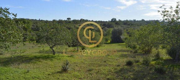 10450m² Land in Silves, Portugal No. 68399 24