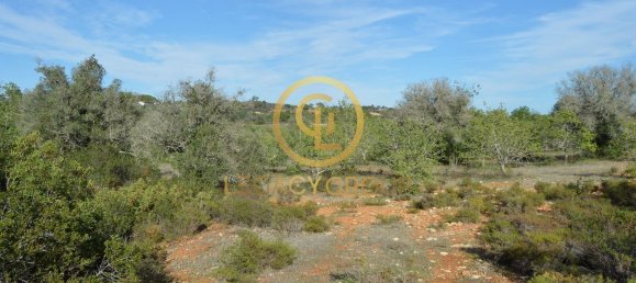 10450m² Land in Silves, Portugal No. 68399 4