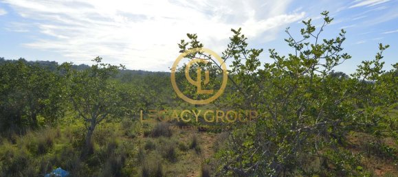 10450m² Land in Silves, Portugal No. 68399 21