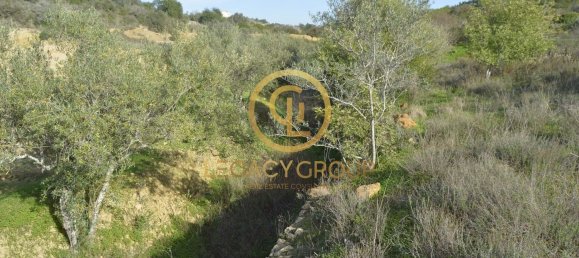 10450m² Land in Silves, Portugal No. 68399 18