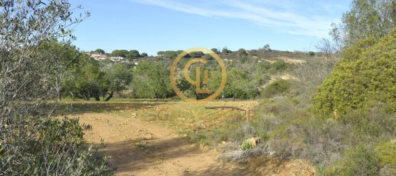 10450m² Land in Silves, Portugal No. 68399 5