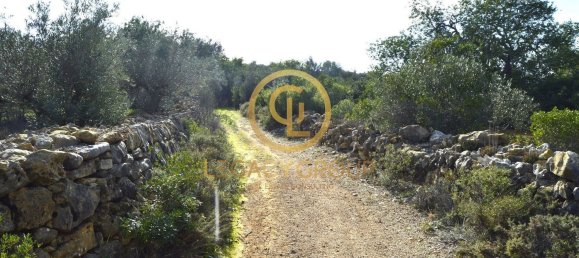 10450m² Land in Silves, Portugal No. 68399 33
