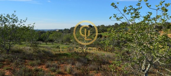 10450m² Land in Silves, Portugal No. 68399 22