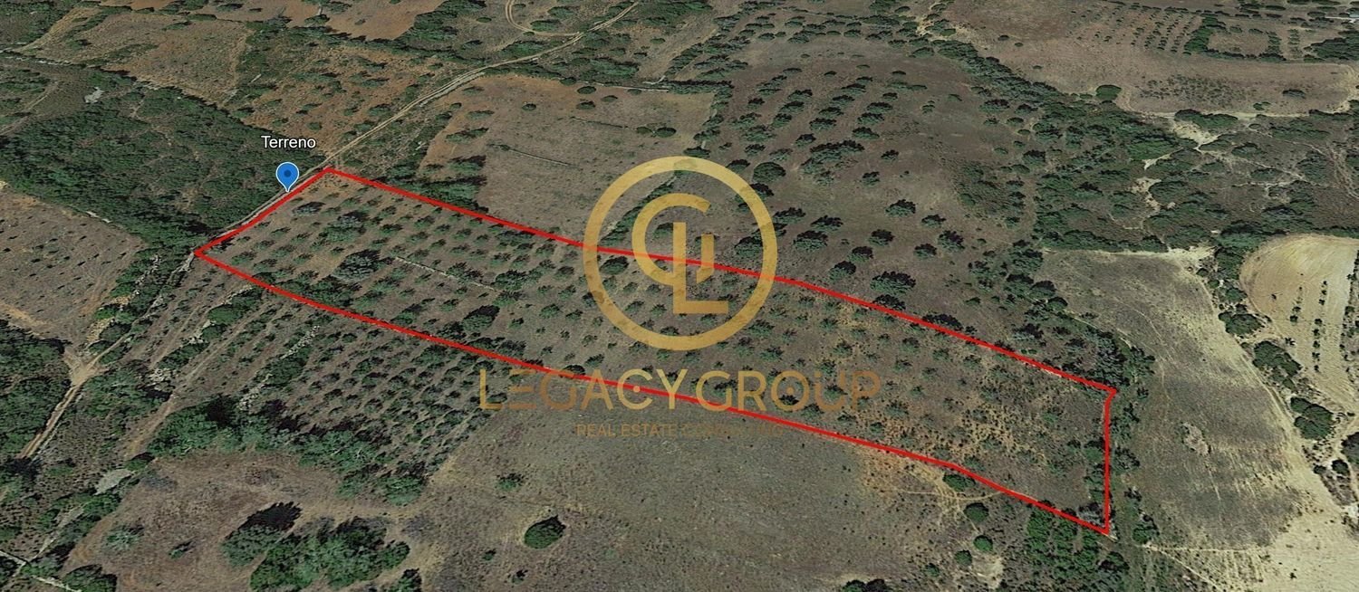 10450m² Land in Silves, Portugal No. 68399