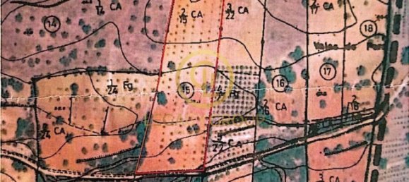 10450m² Land in Silves, Portugal No. 68399 37