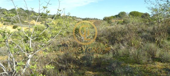 10450m² Land in Silves, Portugal No. 68399 14