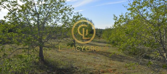 10450m² Land in Silves, Portugal No. 68399 31