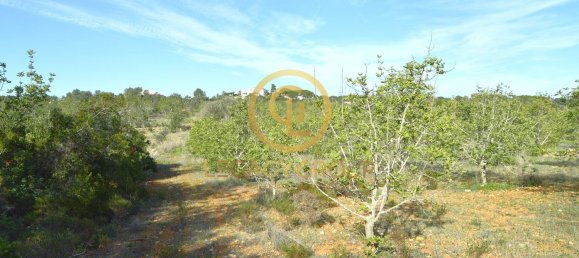 10450m² Land in Silves, Portugal No. 68399 7