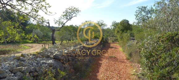 10450m² Land in Silves, Portugal No. 68399 35