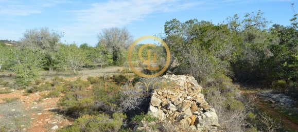 10450m² Land in Silves, Portugal No. 68399 3