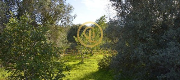 10450m² Land in Silves, Portugal No. 68399 28